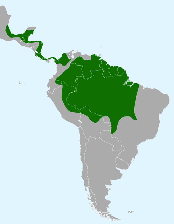 Map showing the range of the Agami Heron.