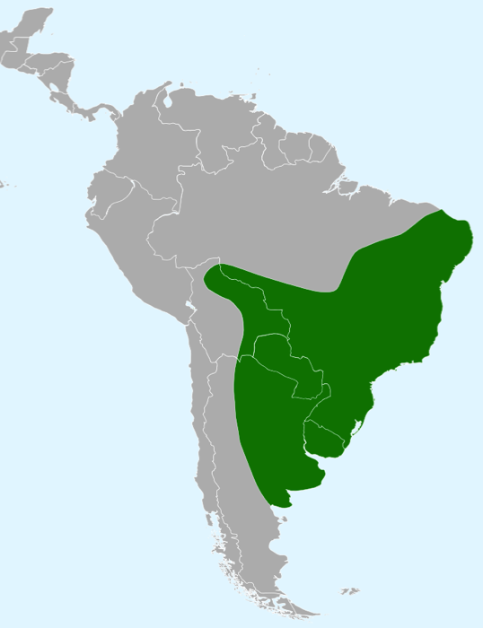 Map showing the range of the Ema or Rhea Americana. There are several subspecies within this range, with very minor variations.