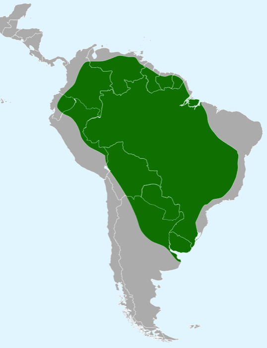 Map showing the anaconda