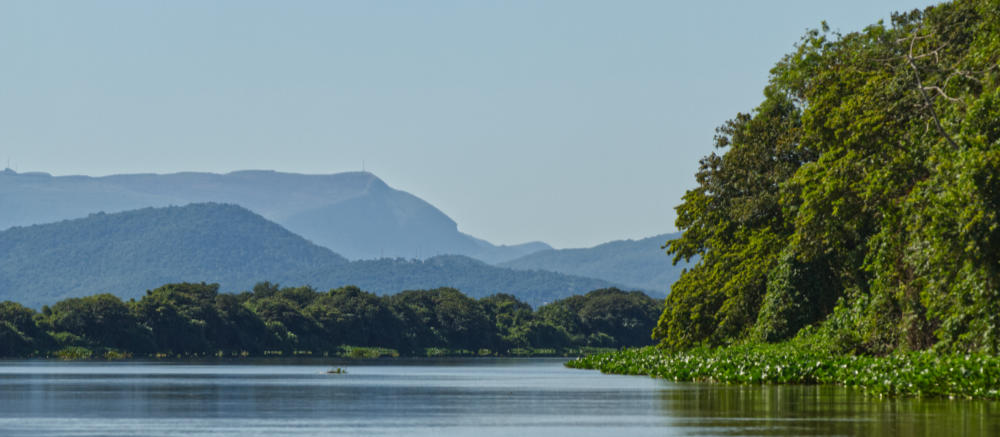 View along the Paraguay River just a few minutes north of Corumbá.