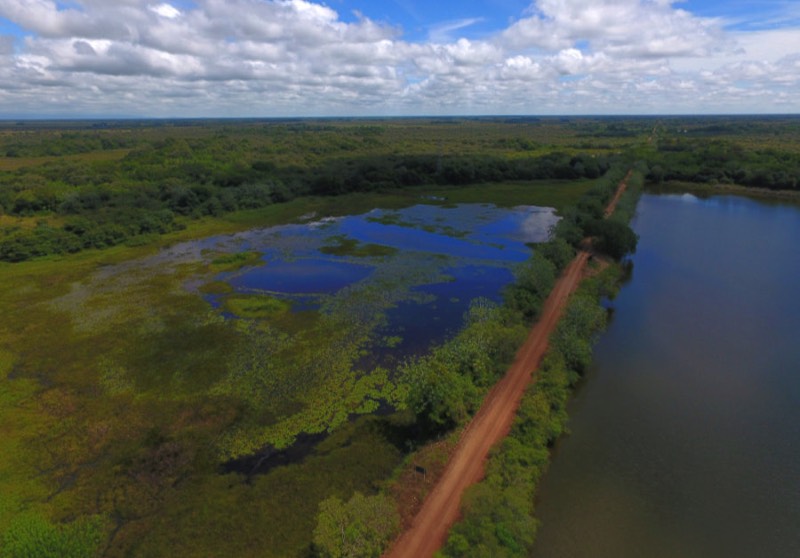 Aerial view of the Estrada Parque road passing though the wetlands of the southern Pantanal region.