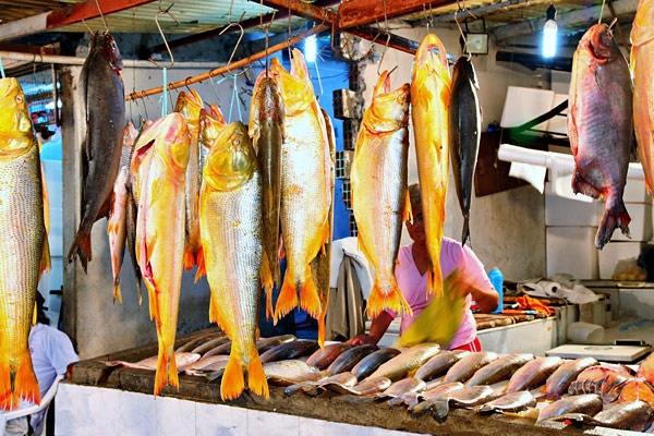 Dorado in an Argentine marketplace.