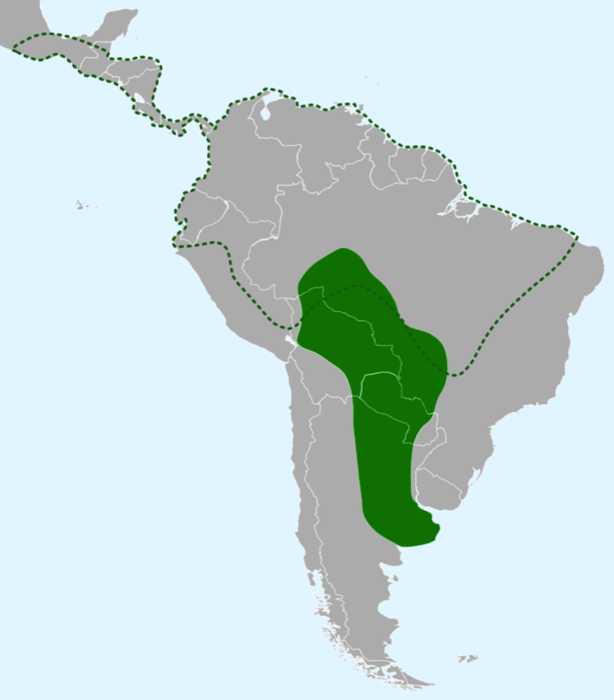 Range of the Caiman Yacaré. This is the species most commonly encountered in the Pantanal. The dotted line shows the range of the closely related Spectacled Caiman (Caiman crocodilus).