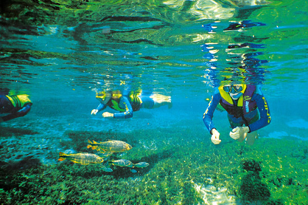 Snorkelling through the crystal clear waters of the Rio Sucuri
