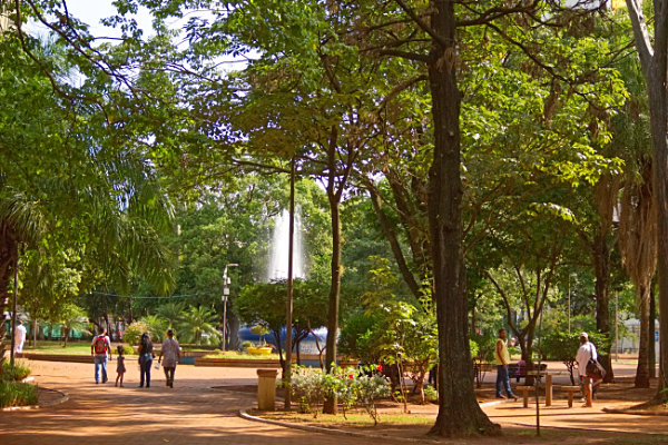 Praça Ari Coelho, located in the centre of Campo Grande, is a pleasant spot to relax from souvenir shopping